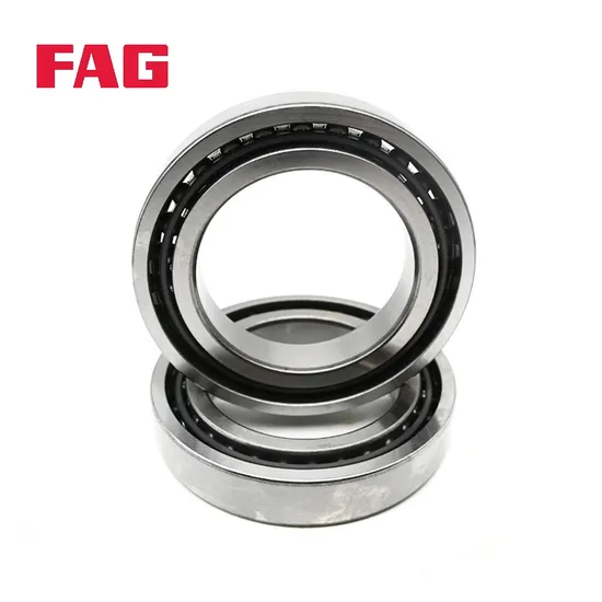 FAG Bearings