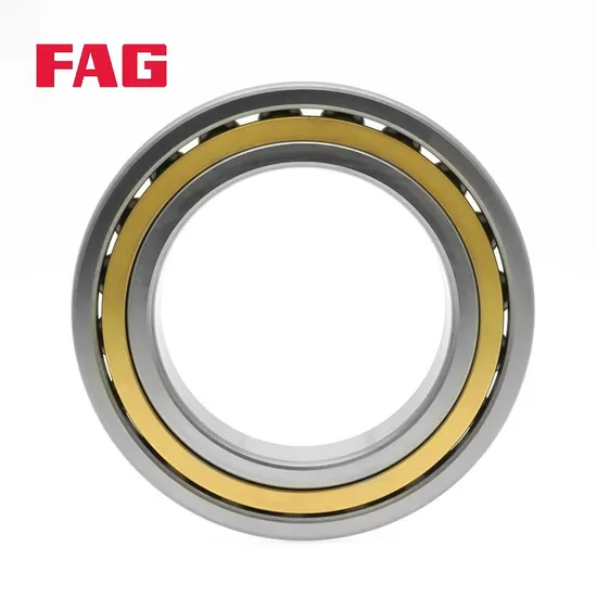 Double Row Angular Contact Ball Bearing 3205-Bd-XL-Tvh FAG ISO 15:2017 for Industrial Machinery