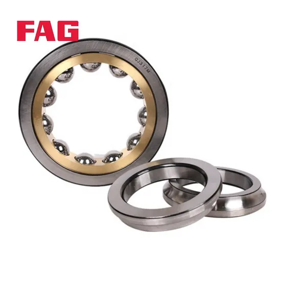 Double Row Angular Contact Ball Bearing 3205-Bd-XL-Tvh FAG for High-Precision Machinery