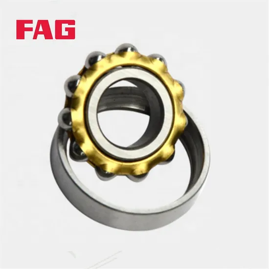 Double Row Angular Contact Ball Bearing for Machine Tool Spindle 3302-Bd-XL-2hrs-Tvh FAG