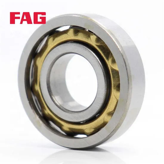 High Precision Double Row Angular Contact Ball Bearings 2RS Seal FAG 3303-Bd-XL-Tvh