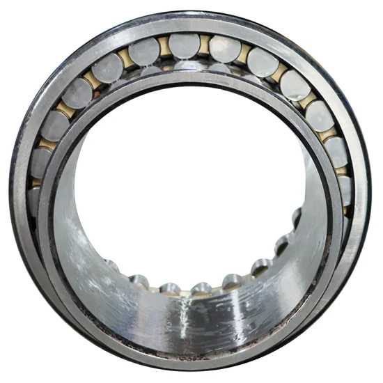 High Precision Double Row Cylindrical Roller Bearing NN3010K P5 P4 for Industrial Machinery