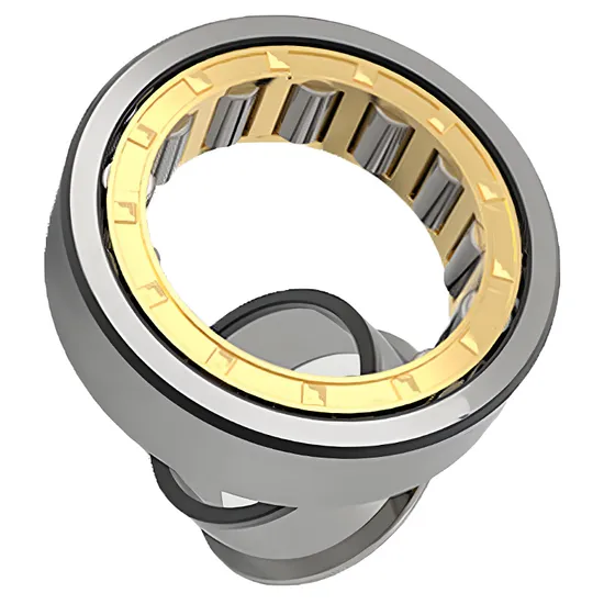 Cylindrical Roller Bearing N221EM NJ221EM NF221EM for Lathe Spindle P0-P4 Precision