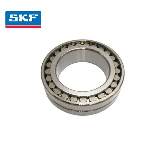 Impact Resistant Double Row Cylindrical Roller Bearing Nu317 Ec P/C3 for Heavy Machinery