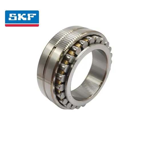 Double Row Cylindrical Roller Bearing Nu219-Ec P for Traditional Machine with C3 Clearance