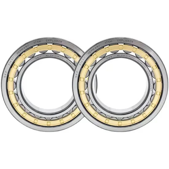 Single Row Cylindrical Roller Bearing Without Outer Ring N1009TN/SP for Industrial Machinery