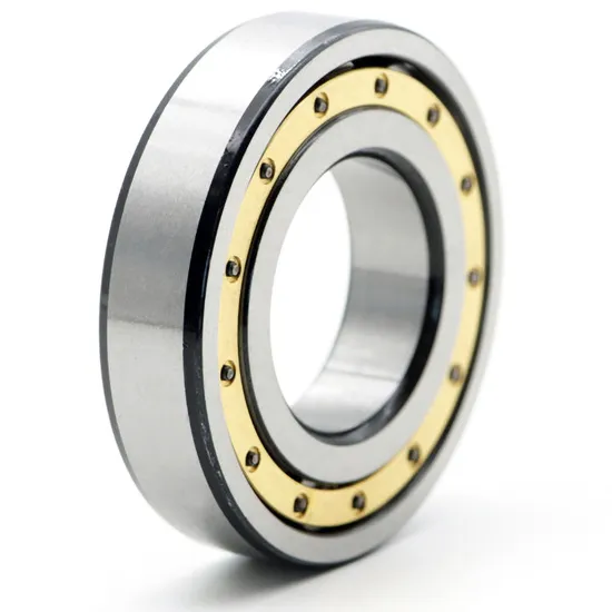 Single Row Cylindrical Roller Bearing Nu1010m-Nu1018m for Industrial Machinery P0-P4 Precision