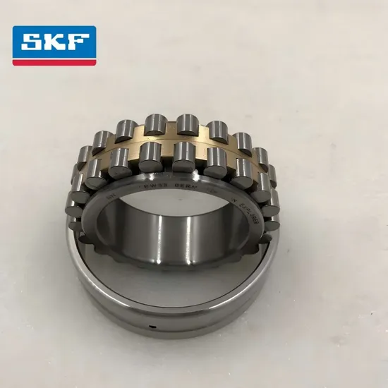 Double Row Cylindrical Roller Bearing Nu2219 Ec J/C3 for Conveyor with High Radial Force Resistance