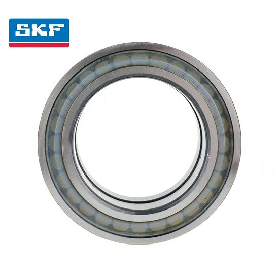 High Precision Double Row Cylindrical Roller Bearing for High Speed Spindle Nu1005 Nu1009 Nu1014-Ml Ec P/C3